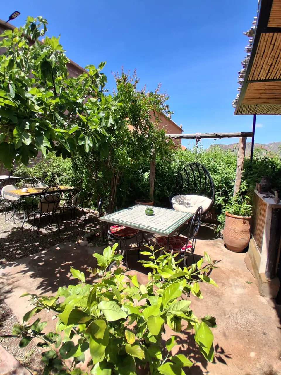 Breakfast tables in the garden at Chambre d’hôtes Aya, shaded by fig and pomegranate trees with the mountains behind
